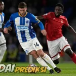 Prediksi Skor Nottingham vs Brighton 25 November 2023