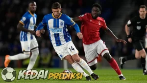 Prediksi Skor Nottingham vs Brighton 25 November 2023