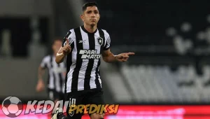 Prediksi Skor Botafogo vs Cruzeiro 28 Juli 2024