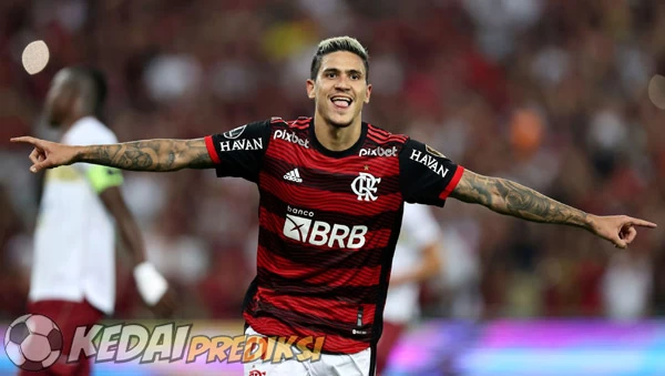 Prediksi Skor Flamengo vs Criciuma 21 Juli 2024