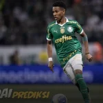 Prediksi Skor Palmeiras vs Atletico Goianiense 12 Juli 2024