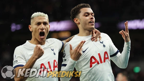 Prediksi Skor Tottenham vs Everton 24 Agustus 2024