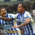 Prediksi Skor Brighton vs Everton 25 Januari 2025
