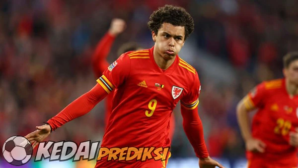 Prediksi Skor Wales vs Liechtenstein 7 Juni 2025