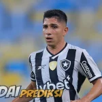 Prediksi Skor Botafogo vs LDU Quito 15 Agustus 2025