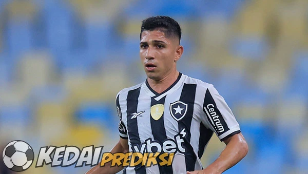 Prediksi Skor Botafogo vs LDU Quito 15 Agustus 2025