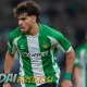 Prediksi Skor Real Betis vs Feyenoord 30 Januari 2026